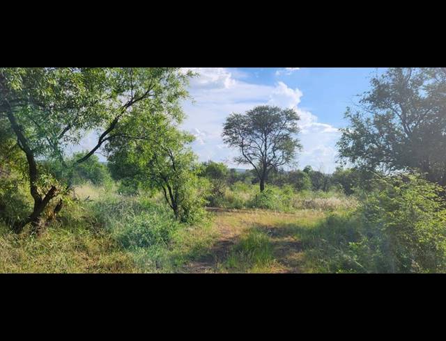 FARM FOR SALE IN DOWNBERN S H